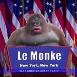 Meet your Posher, Adam